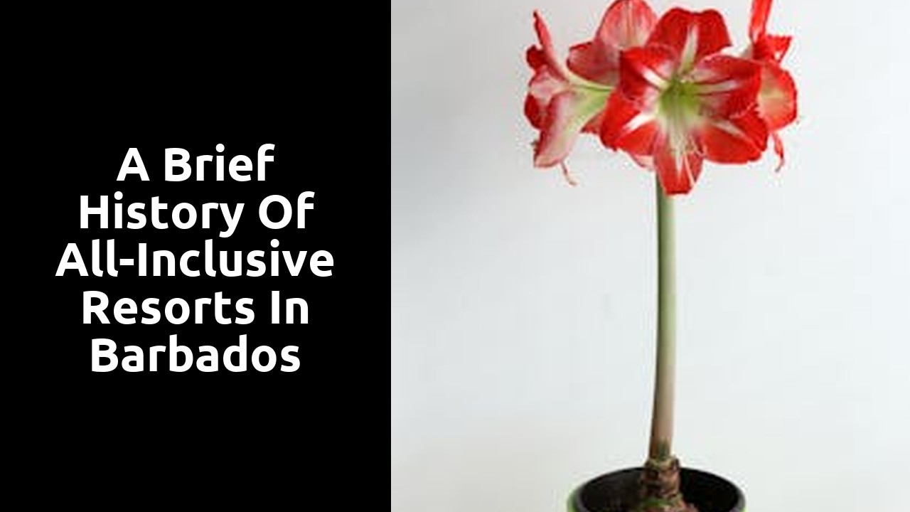 A Brief History of All-Inclusive Resorts in Barbados