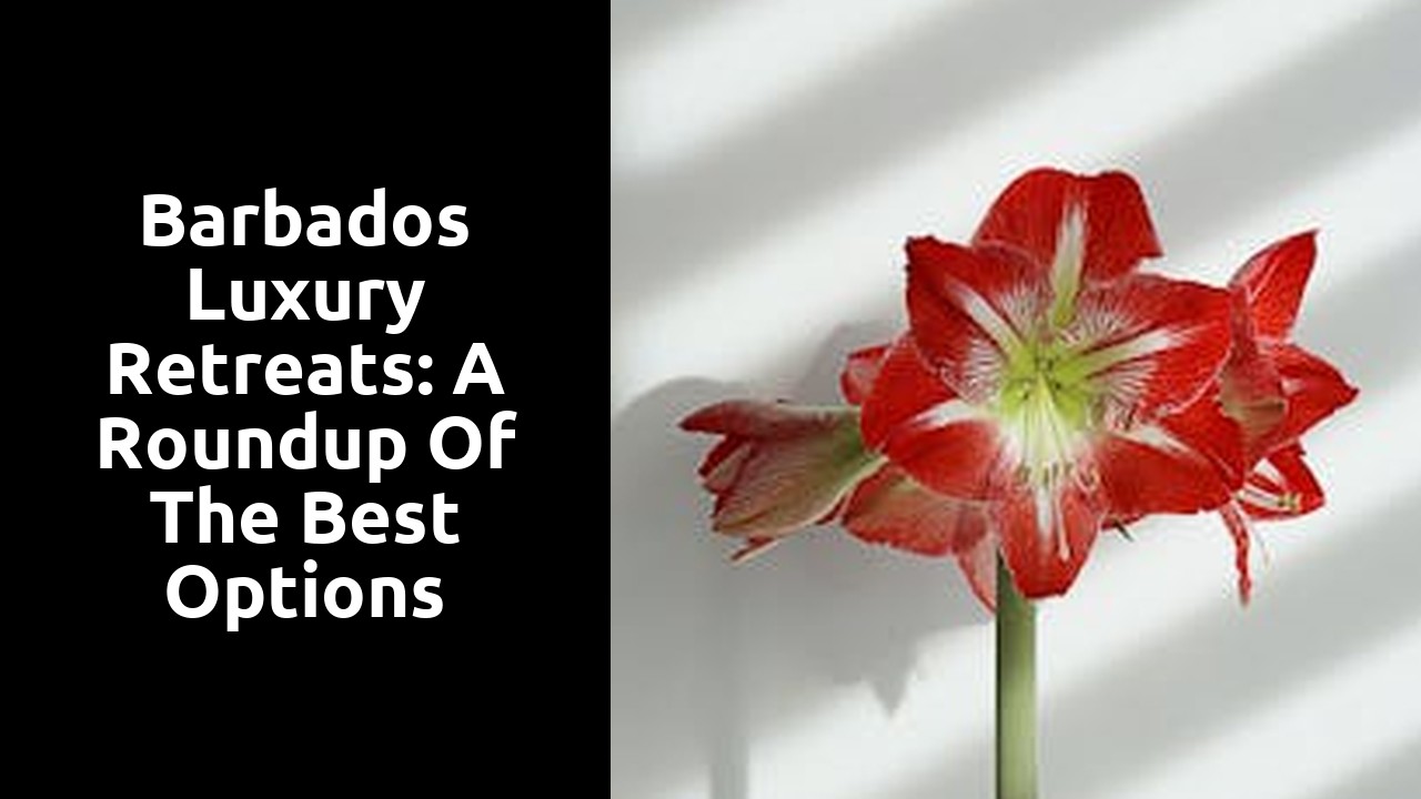 Barbados Luxury Retreats: A Roundup of the Best Options