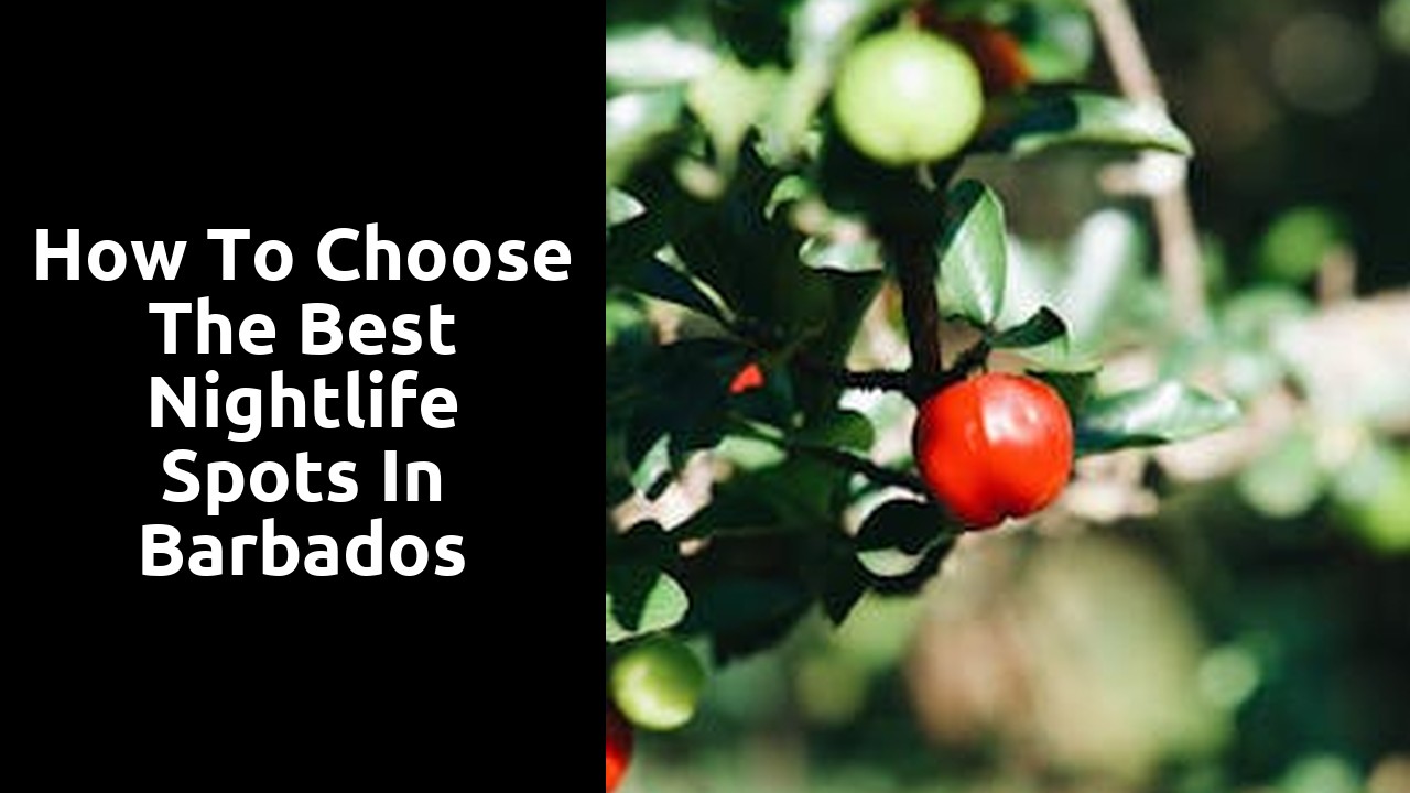 How to Choose the Best Nightlife Spots in Barbados