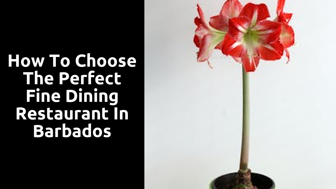 How to Choose the Perfect Fine Dining Restaurant in Barbados