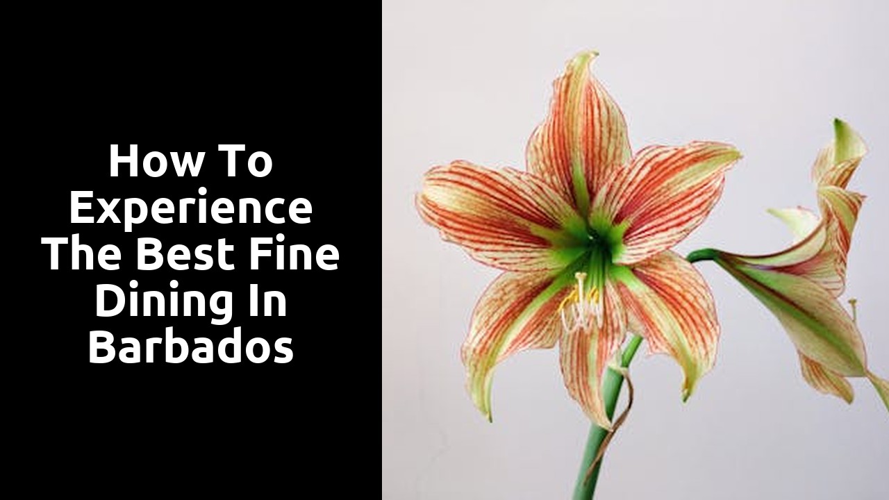 How to Experience the Best Fine Dining in Barbados