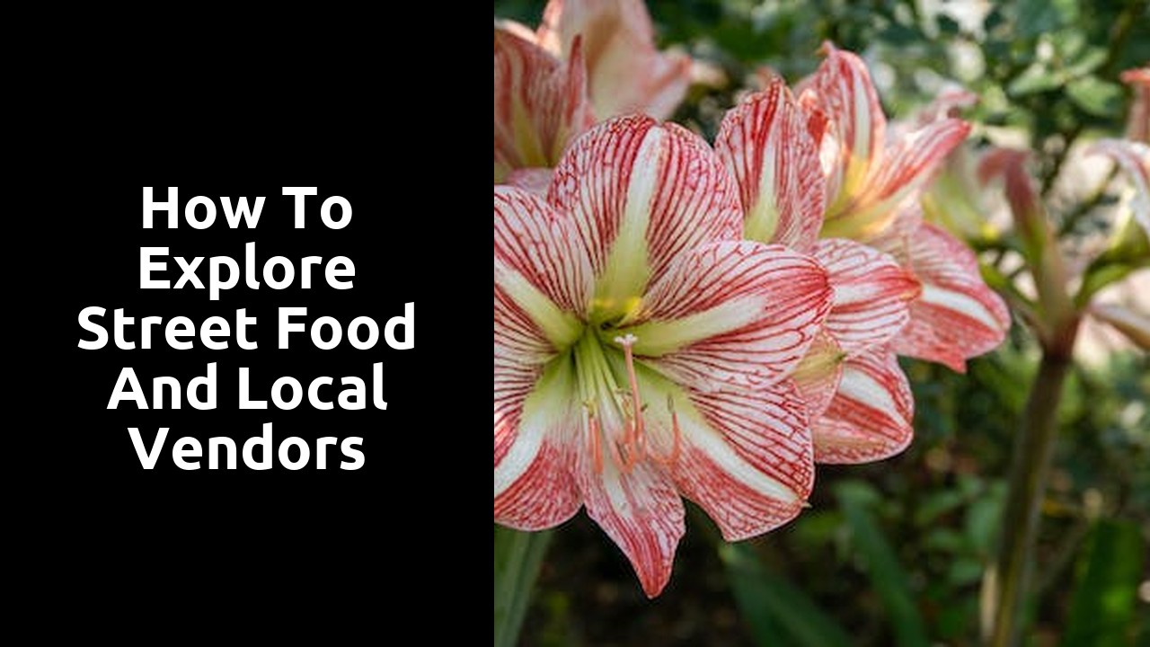 How to explore street food and local vendors