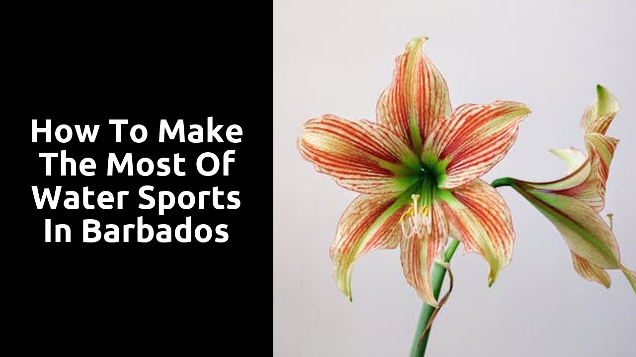 How to Make the Most of Water Sports in Barbados