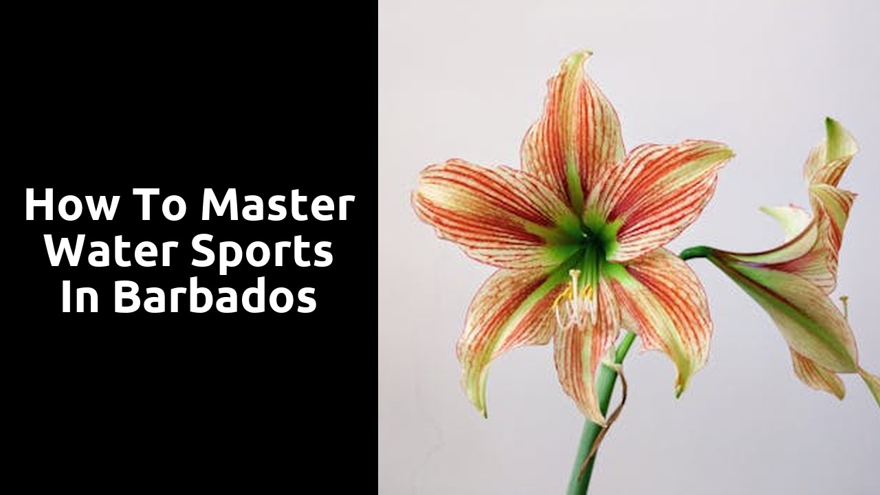 How to Master Water Sports in Barbados