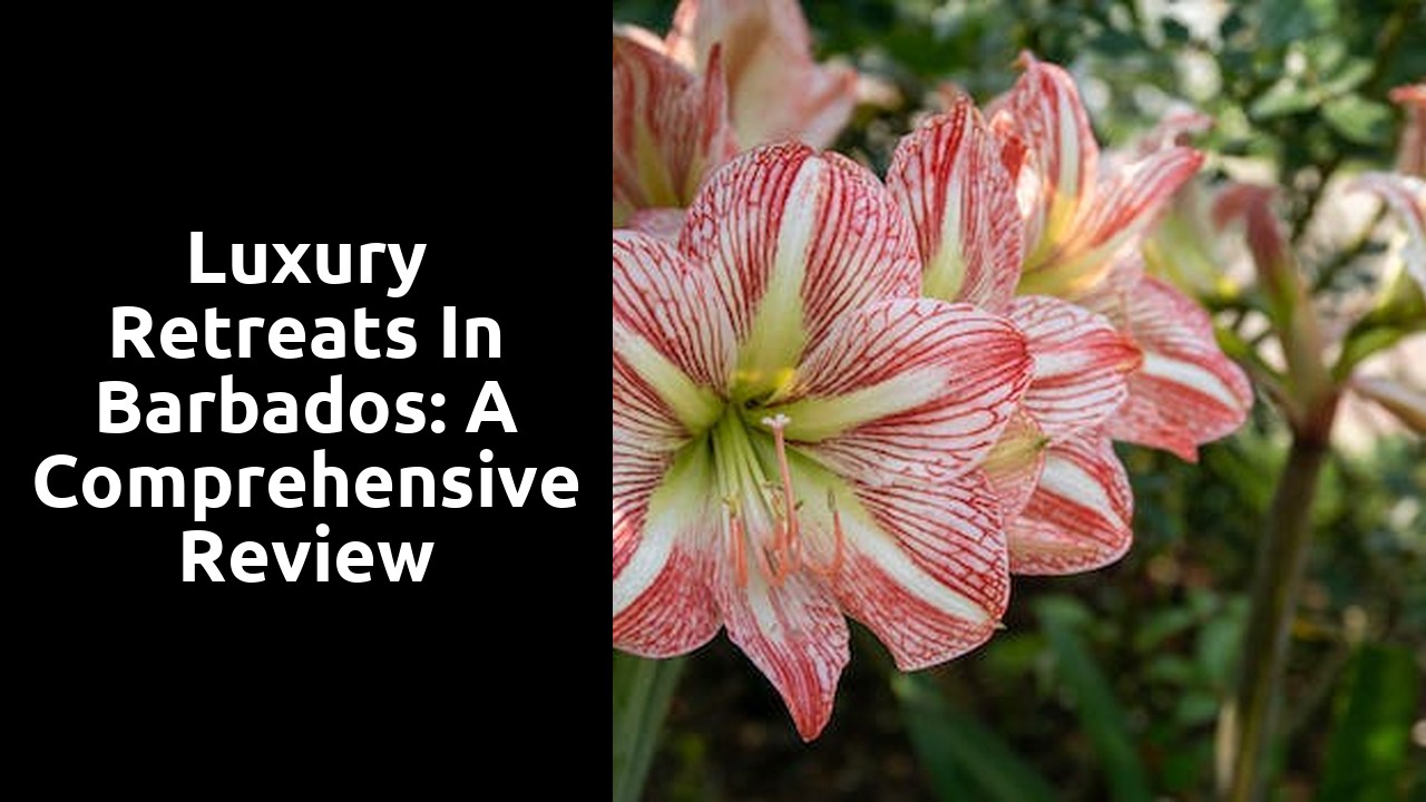 Luxury Retreats in Barbados: A Comprehensive Review