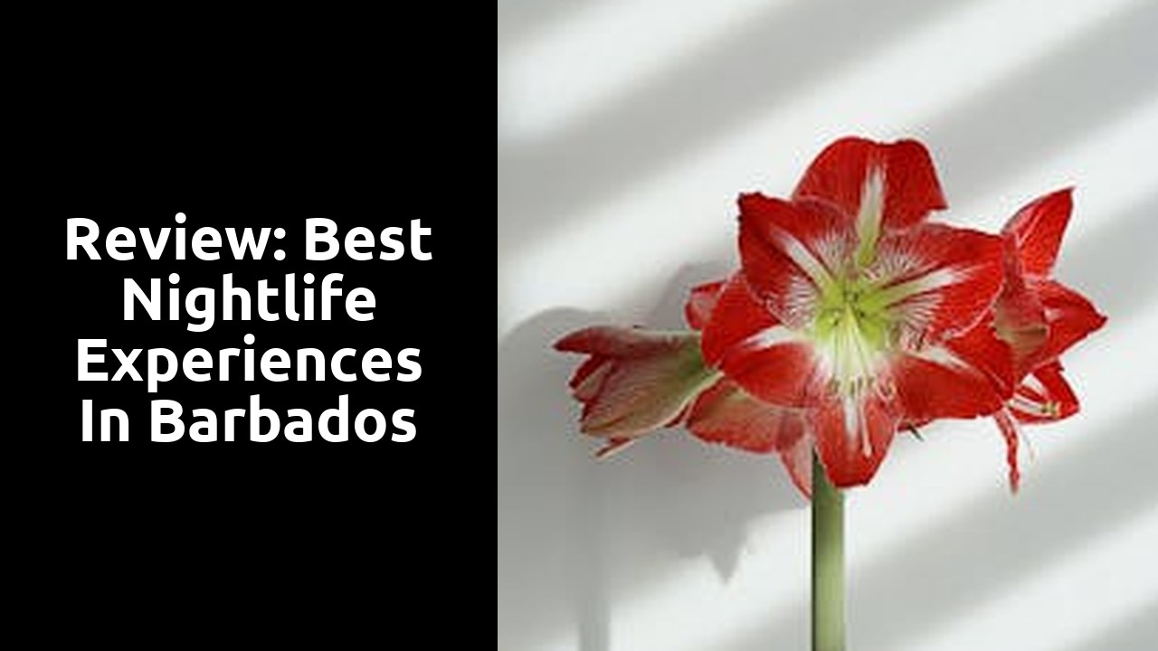 Review: Best Nightlife Experiences in Barbados