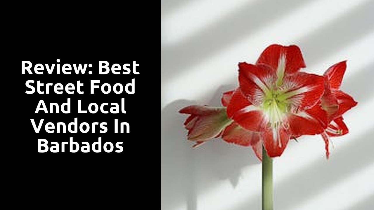 Review: Best Street Food and Local Vendors in Barbados