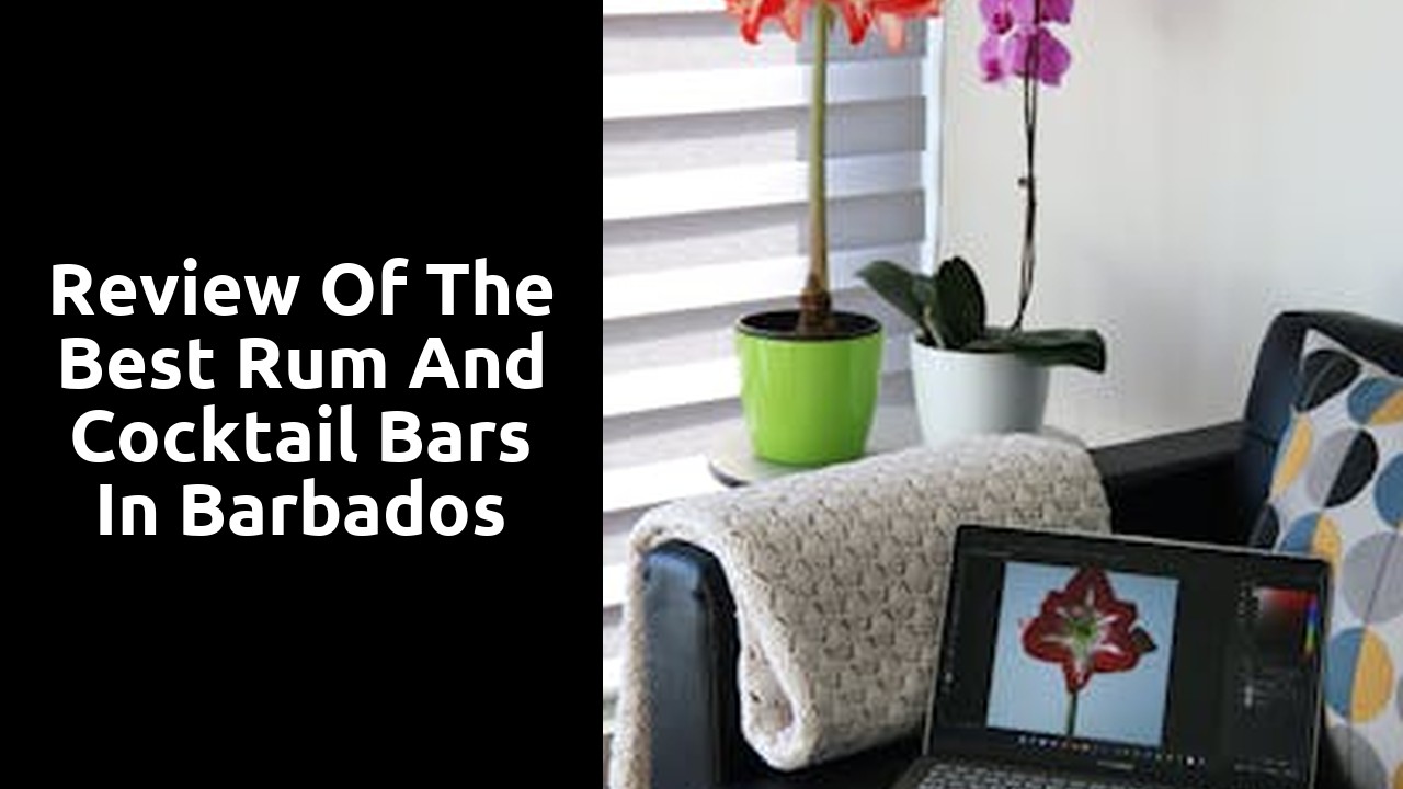Review of the Best Rum and Cocktail Bars in Barbados