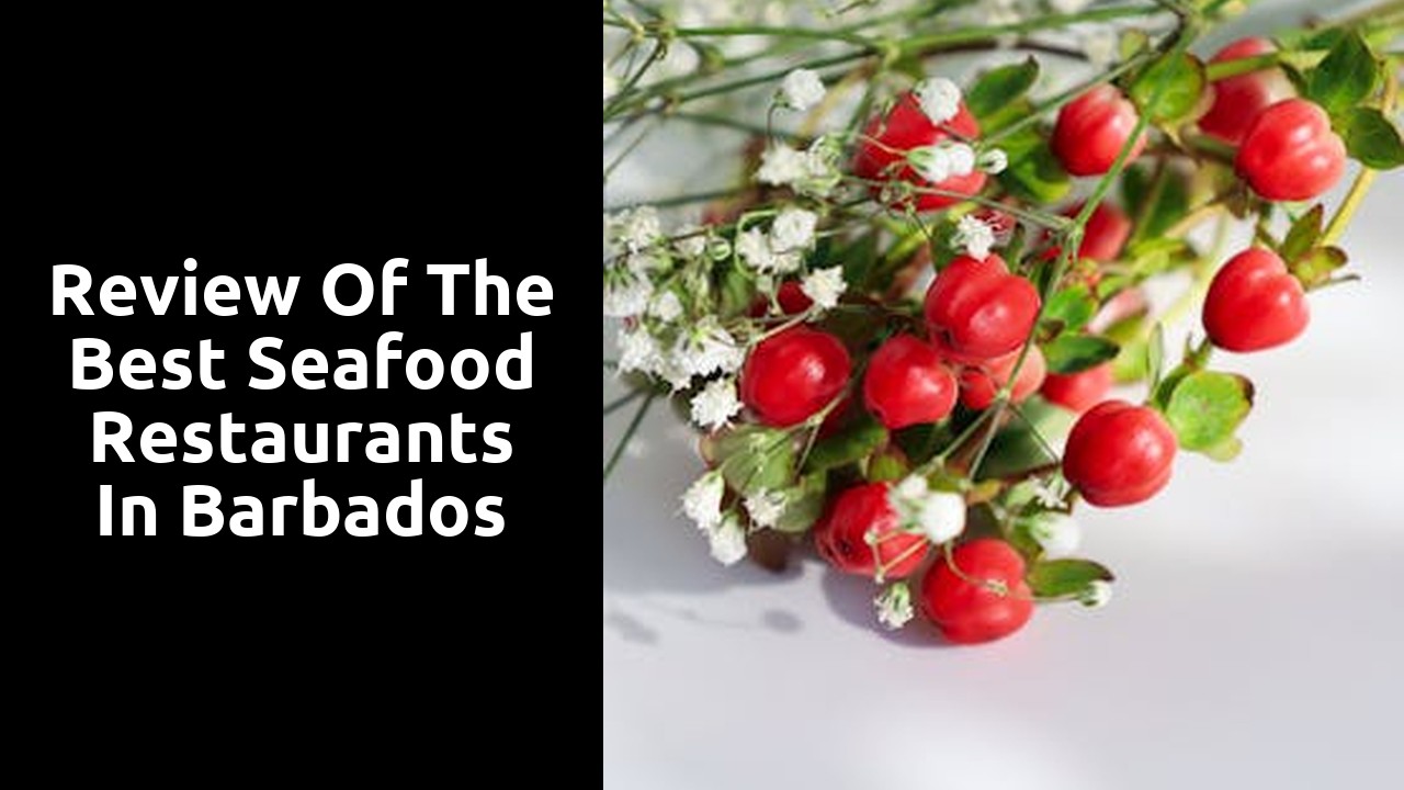 Review of the Best Seafood Restaurants in Barbados