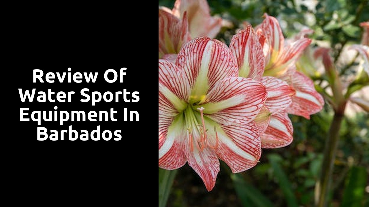 Review of Water Sports Equipment in Barbados
