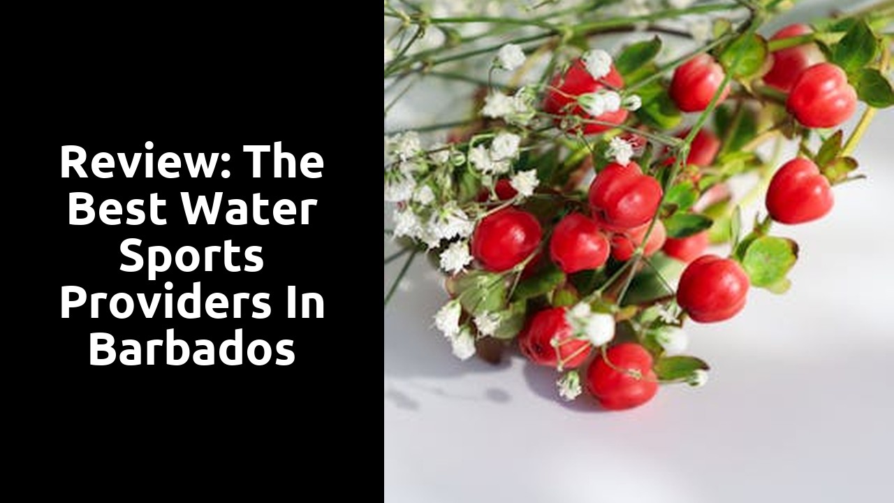 Review: The Best Water Sports Providers in Barbados