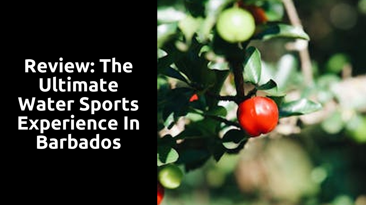 Review: The Ultimate Water Sports Experience in Barbados