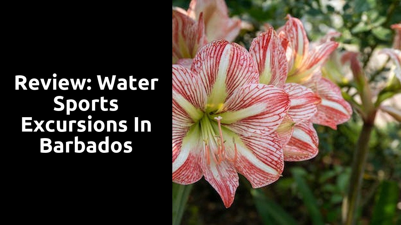 Review: Water Sports Excursions in Barbados