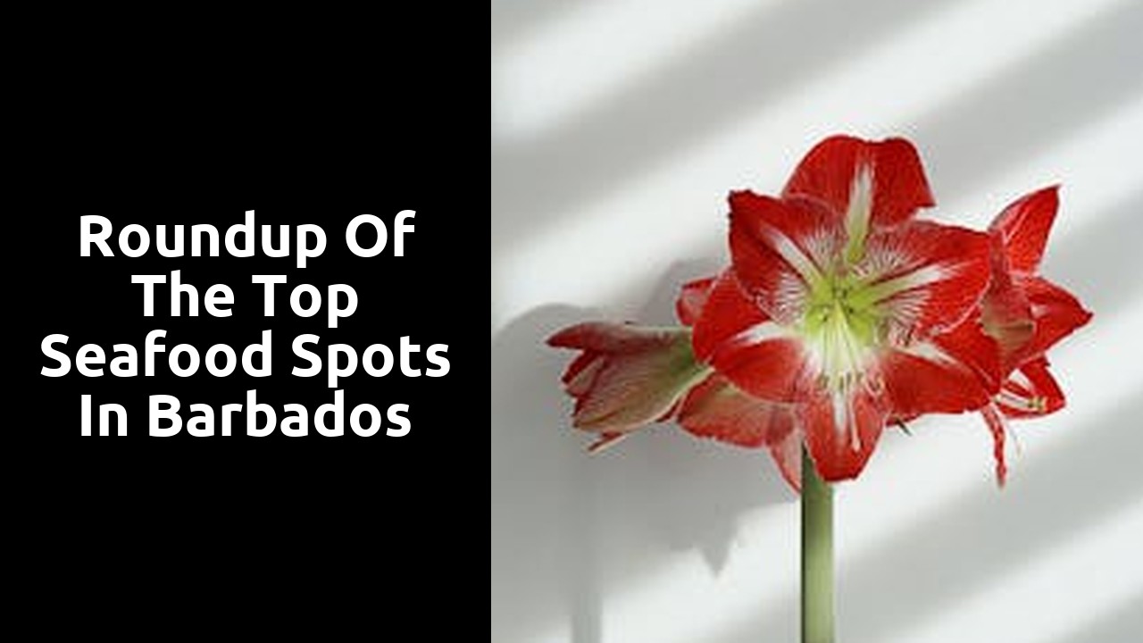 Roundup of the top seafood spots in Barbados