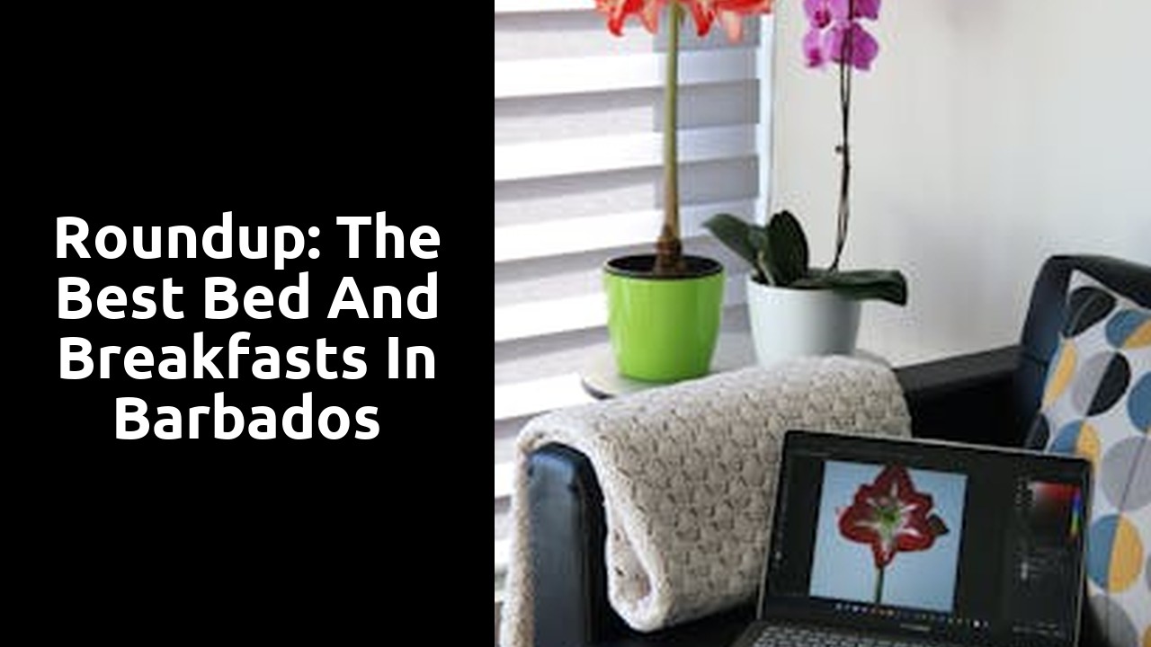 Roundup: The Best Bed and Breakfasts in Barbados