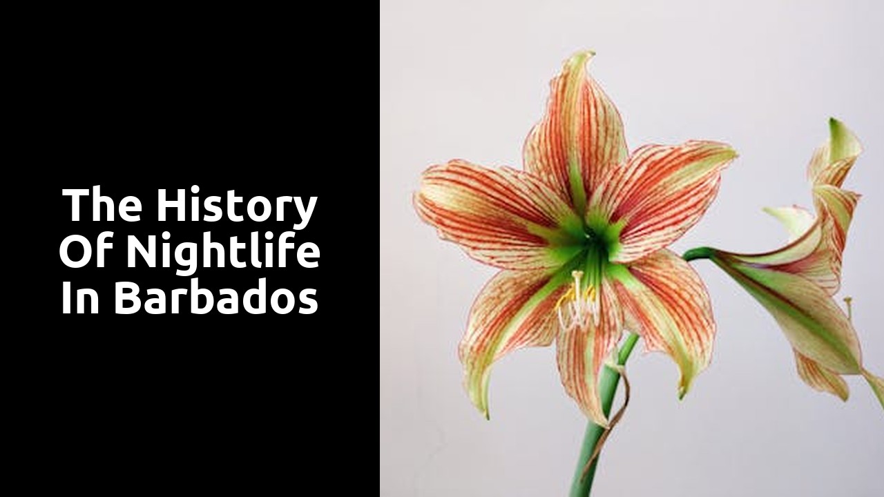The History of Nightlife in Barbados