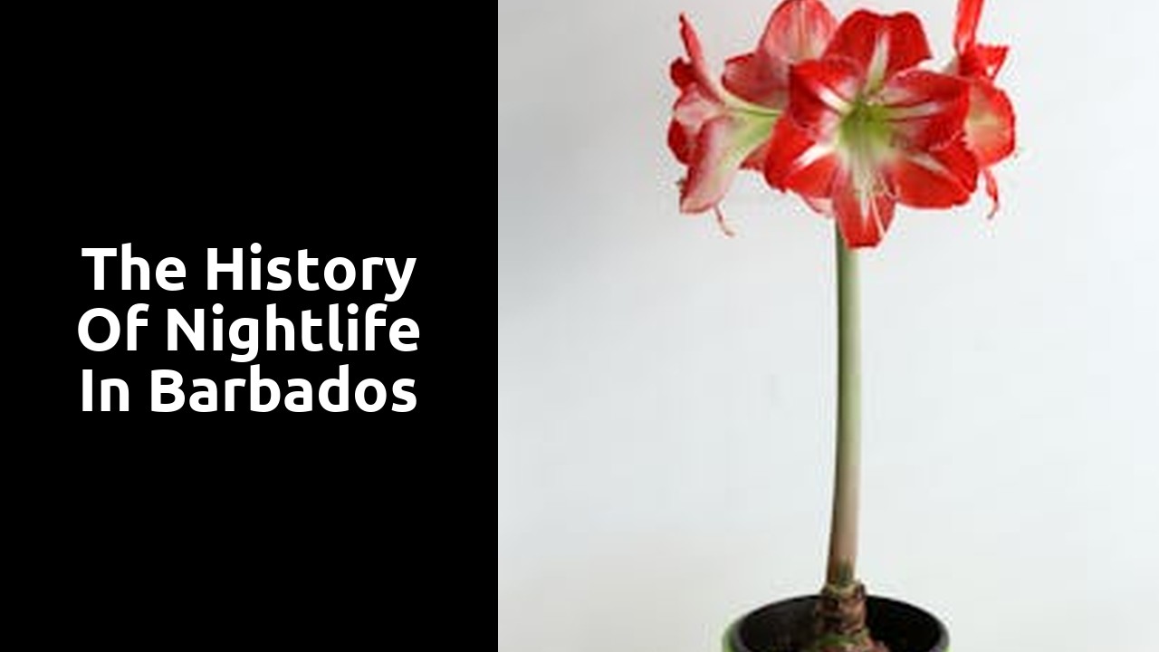The History of Nightlife in Barbados