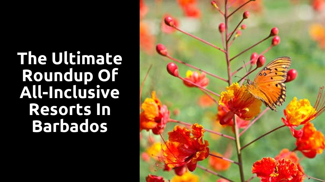 The Ultimate Roundup of All-Inclusive Resorts in Barbados