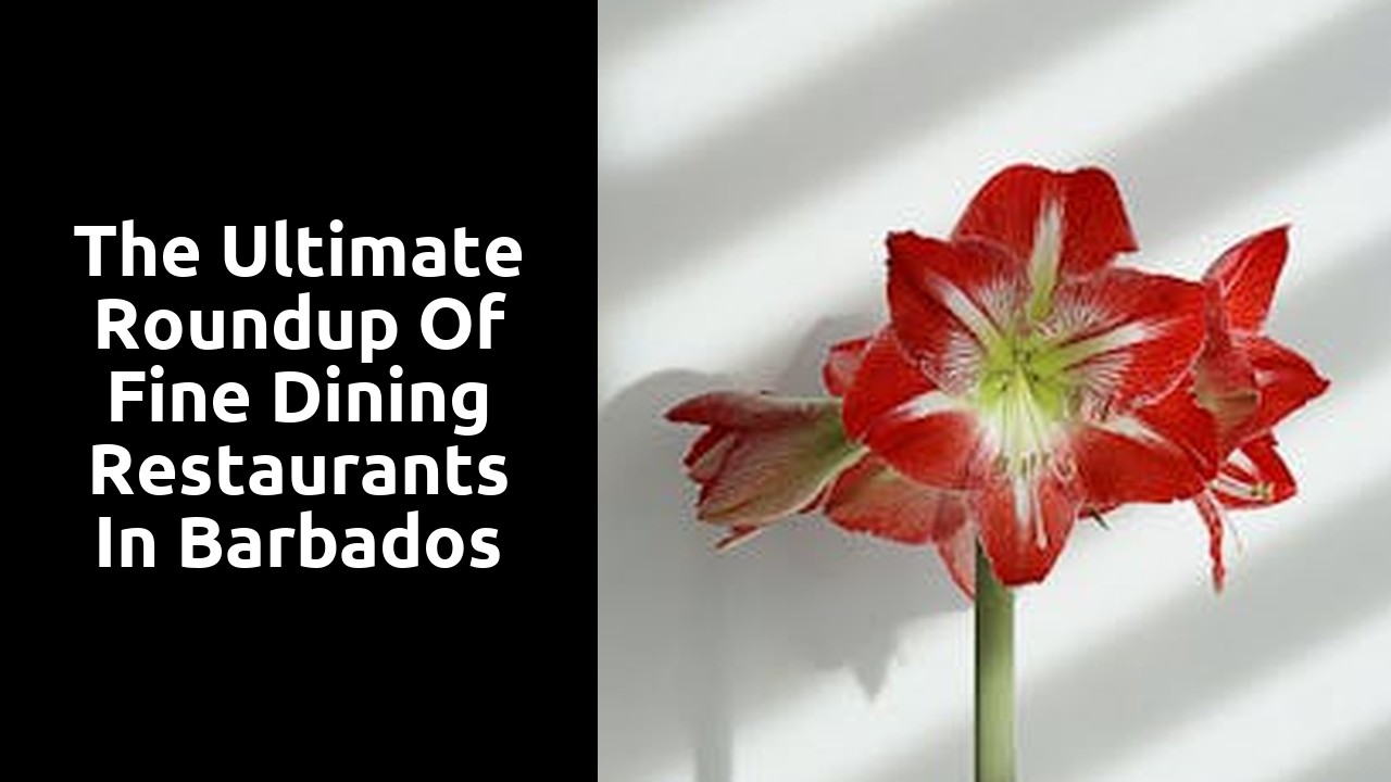 The Ultimate Roundup of Fine Dining Restaurants in Barbados