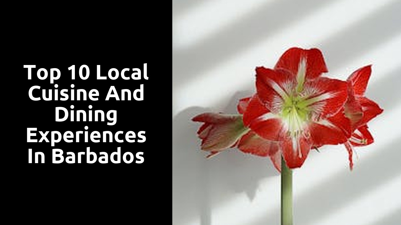 Top 10 Local Cuisine and Dining Experiences in Barbados