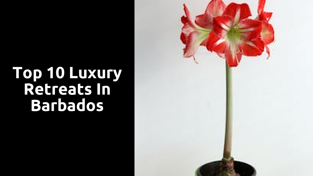 Top 10 Luxury Retreats in Barbados