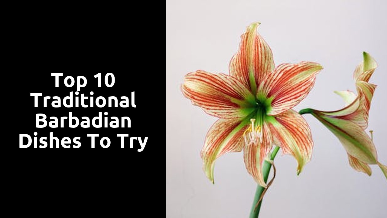 Top 10 Traditional Barbadian Dishes to Try