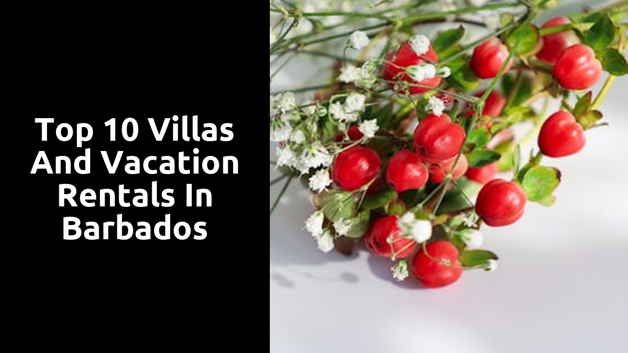 Top 10 Villas and Vacation Rentals in Barbados