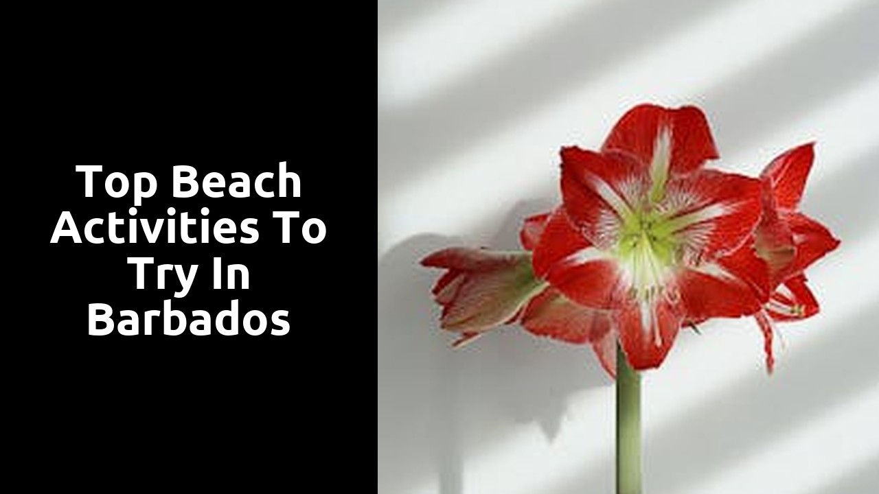 Top Beach Activities to Try in Barbados