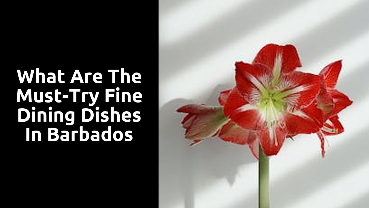 What Are the Must-Try Fine Dining Dishes in Barbados