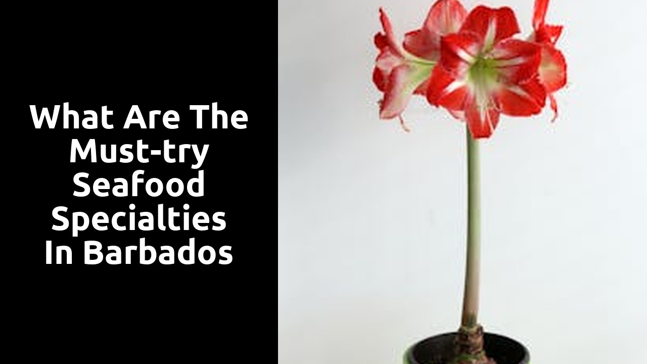 What are the must-try seafood specialties in Barbados