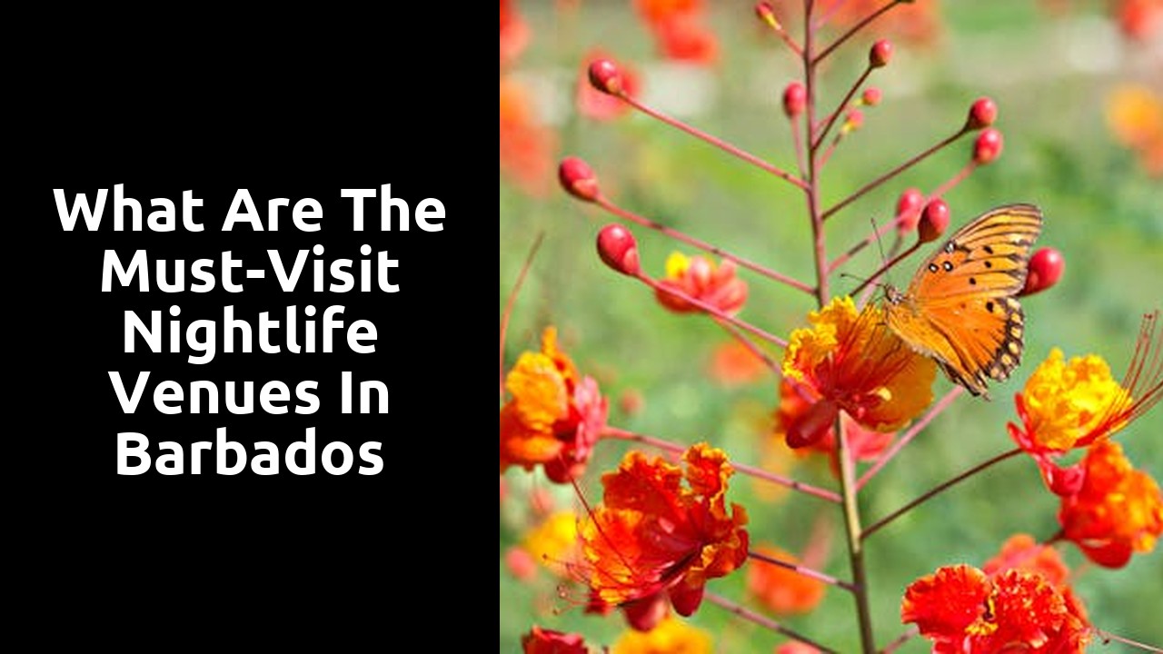 What Are the Must-Visit Nightlife Venues in Barbados