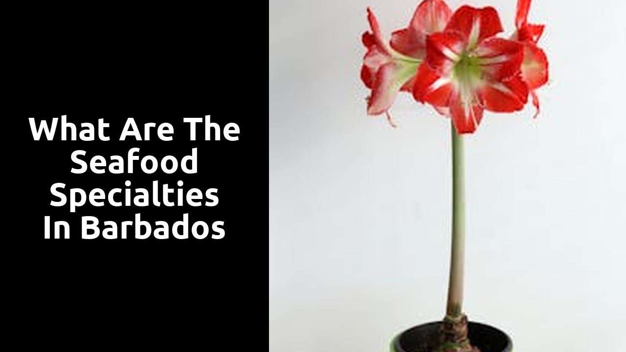 What are the seafood specialties in Barbados