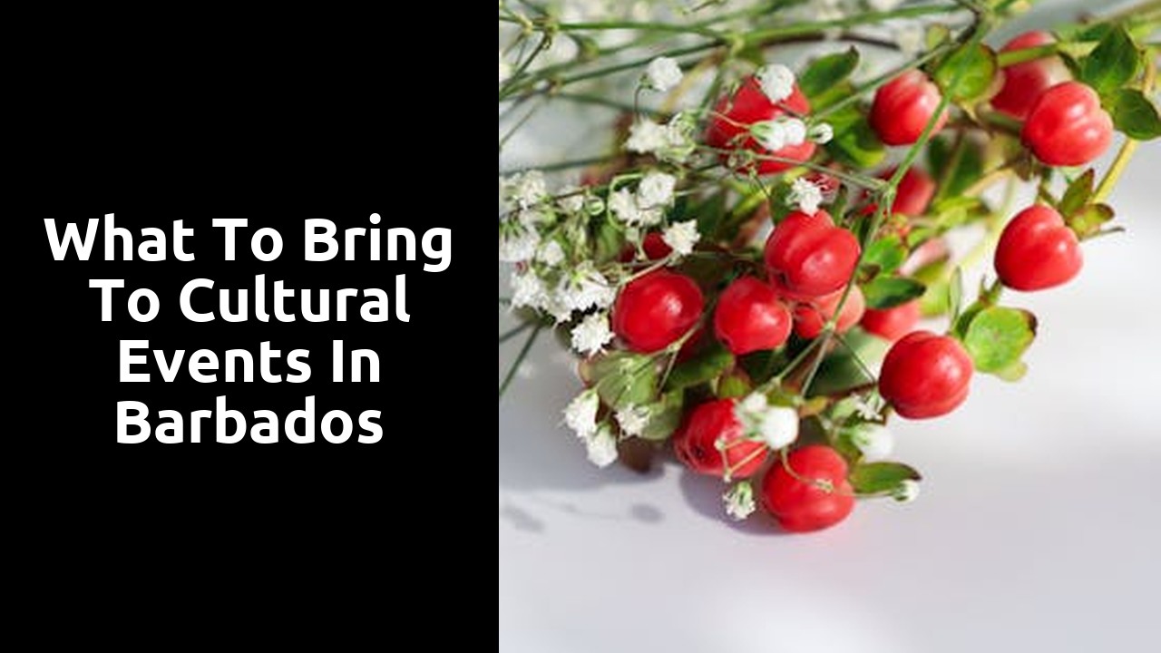 What to Bring to Cultural Events in Barbados