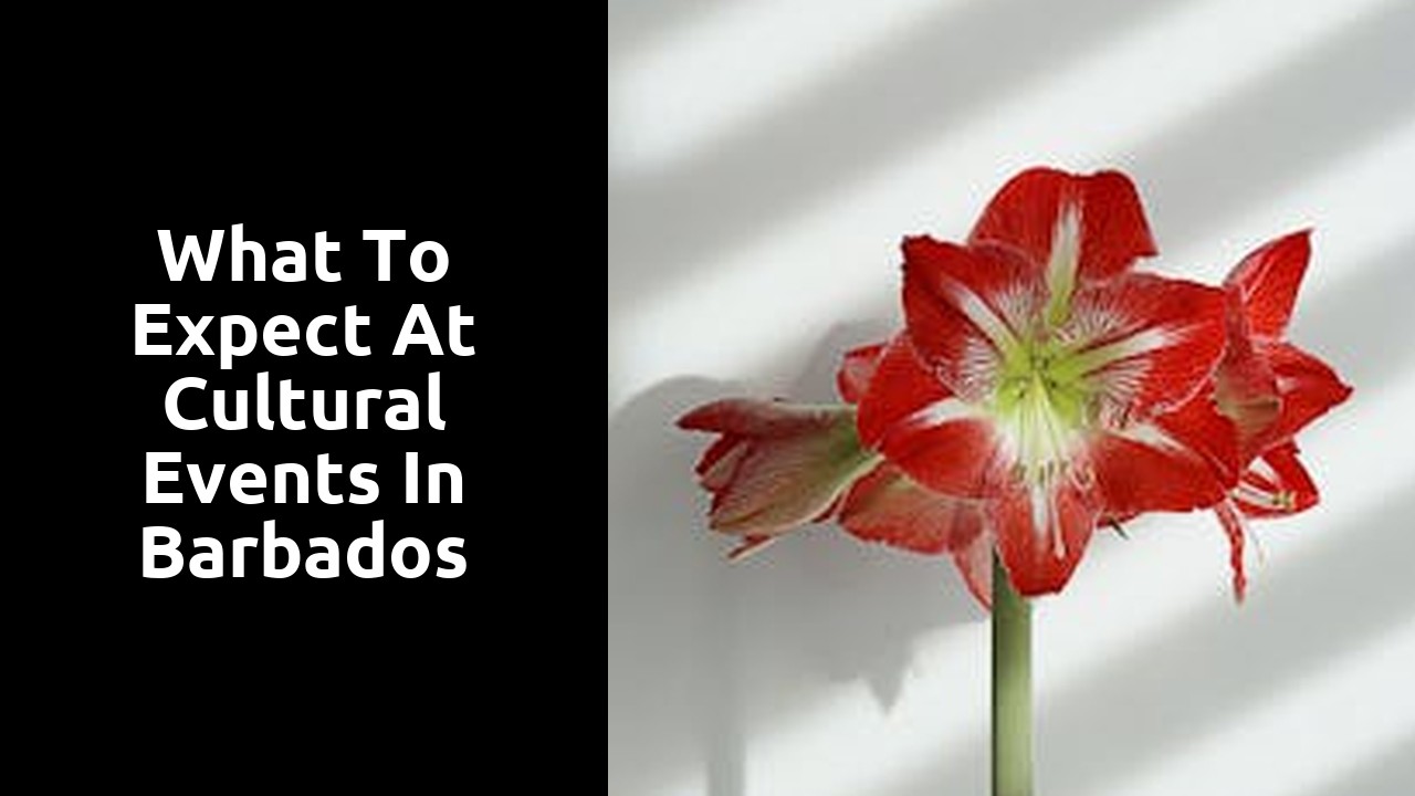 What to Expect at Cultural Events in Barbados