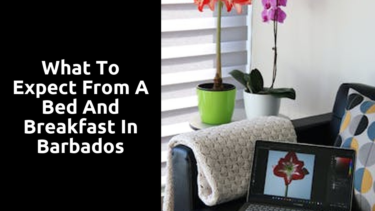 What to Expect from a Bed and Breakfast in Barbados