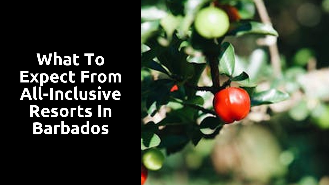 What to Expect from All-Inclusive Resorts in Barbados