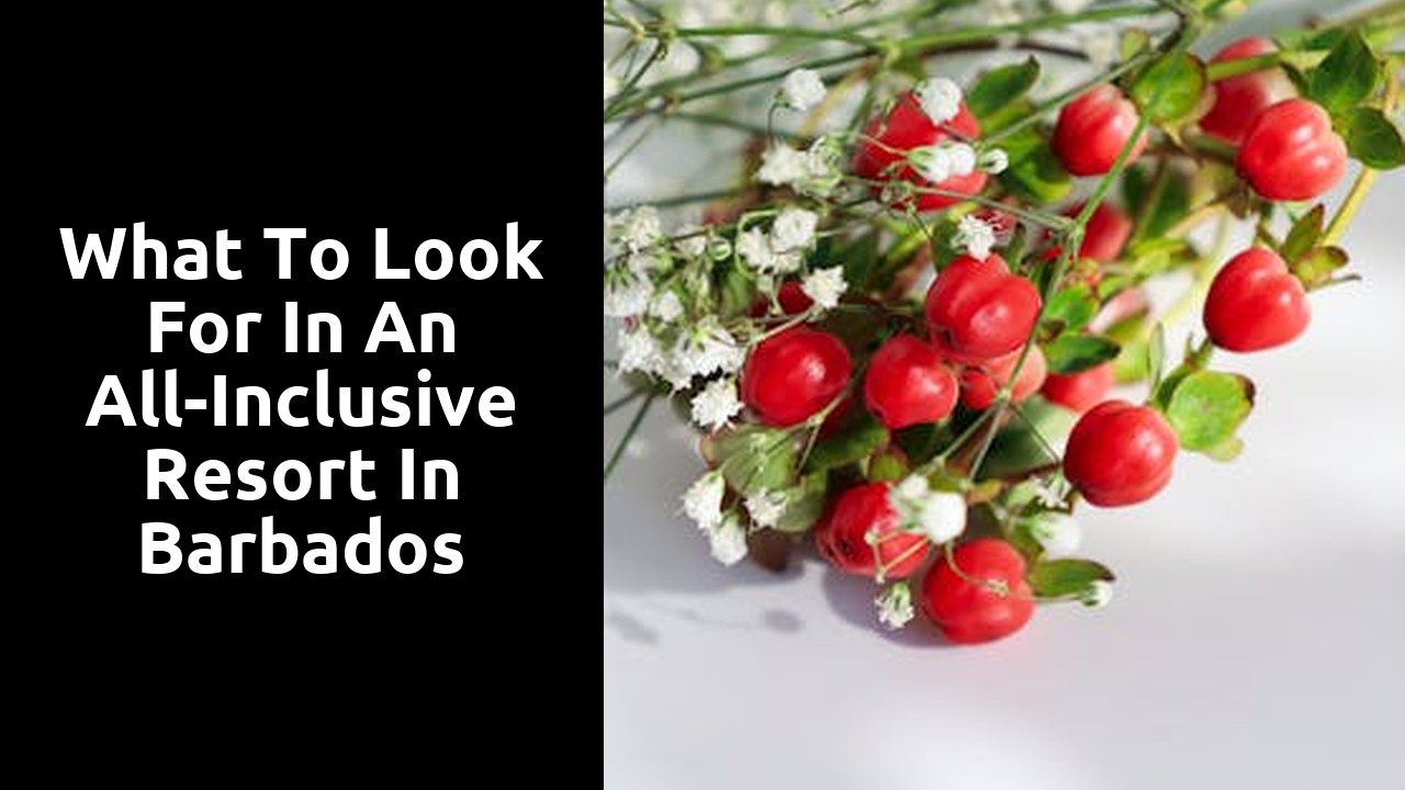 What to Look for in an All-Inclusive Resort in Barbados