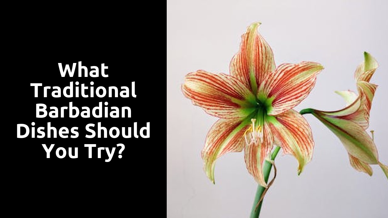 What Traditional Barbadian Dishes Should You Try?