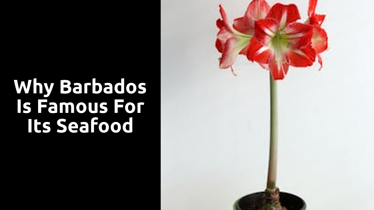 Why Barbados is famous for its seafood