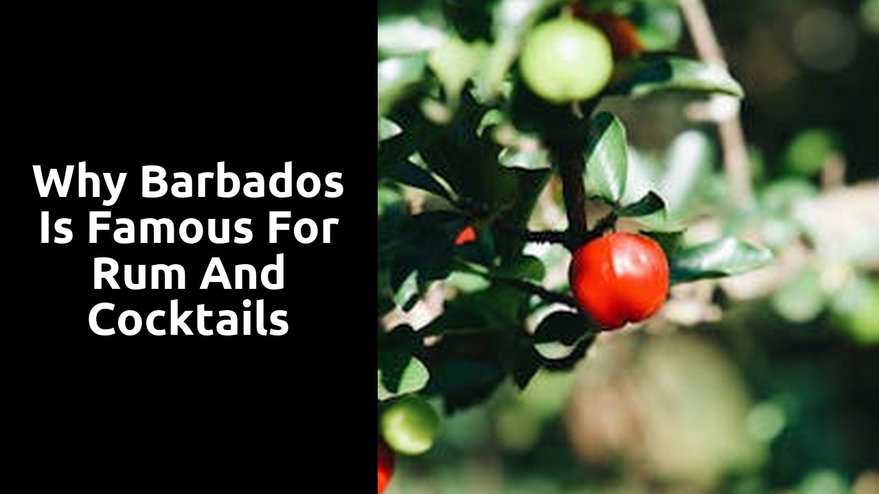 Why Barbados is Famous for Rum and Cocktails