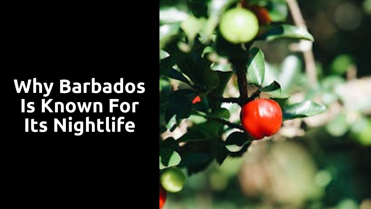 Why Barbados is Known for its Nightlife