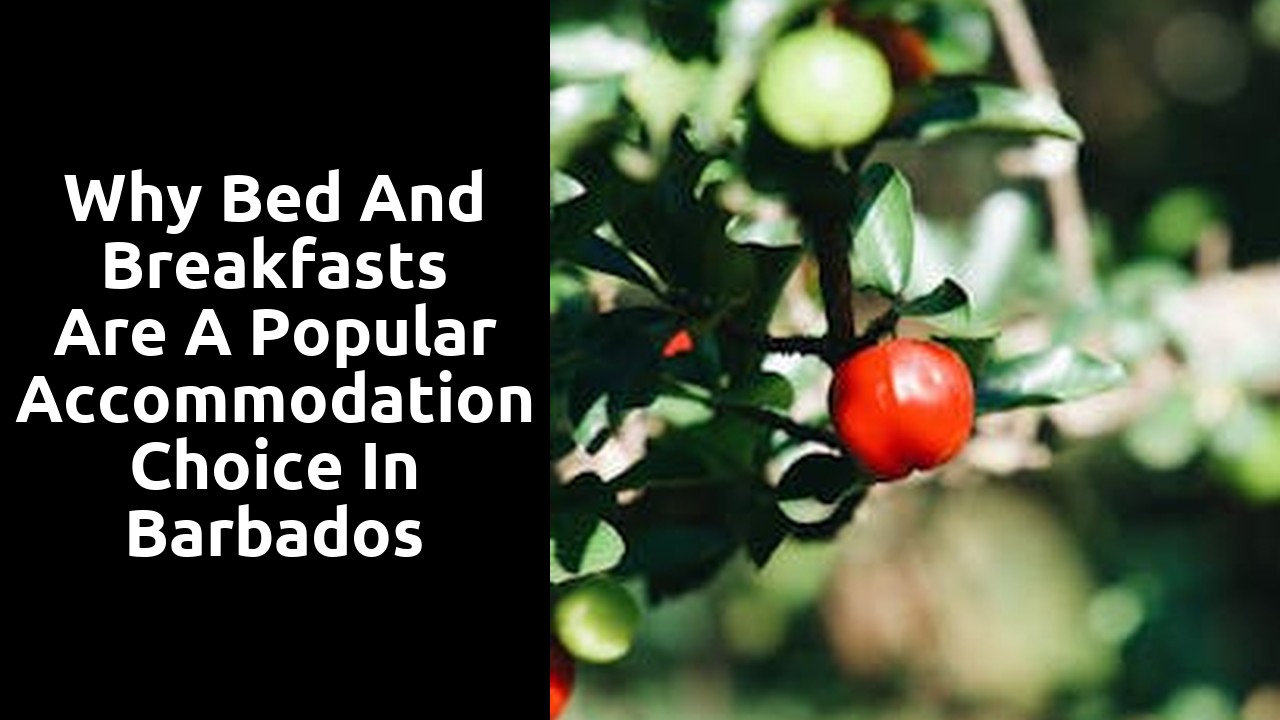 Why Bed and Breakfasts are a Popular Accommodation Choice in Barbados