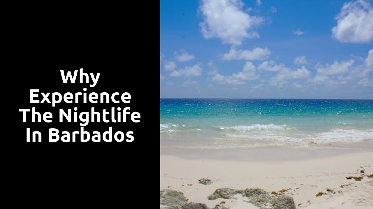 Why Experience the Nightlife in Barbados
