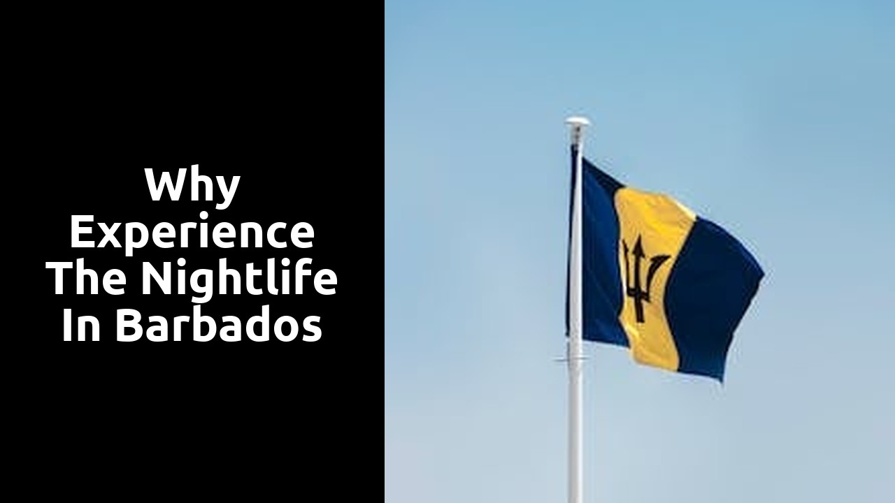 Why Experience the Nightlife in Barbados