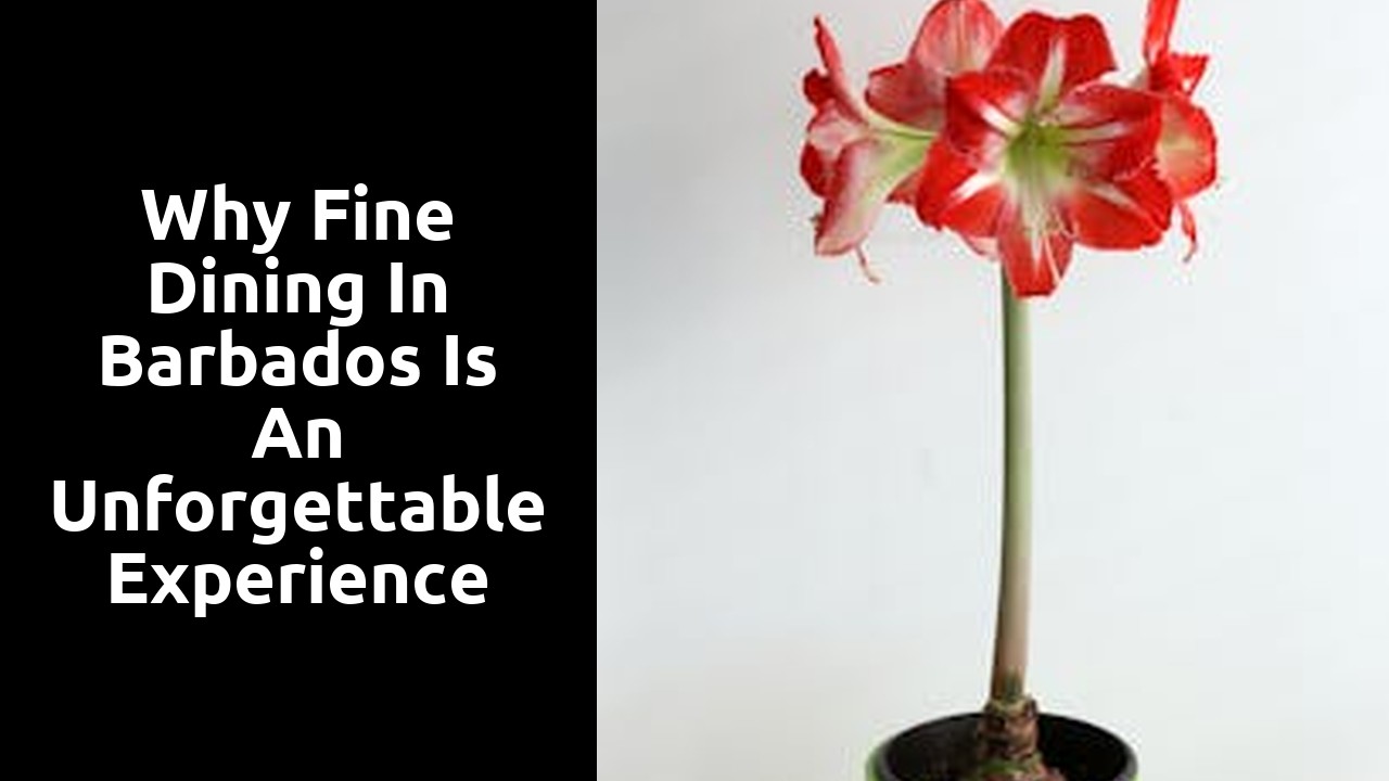 Why Fine Dining in Barbados is an Unforgettable Experience