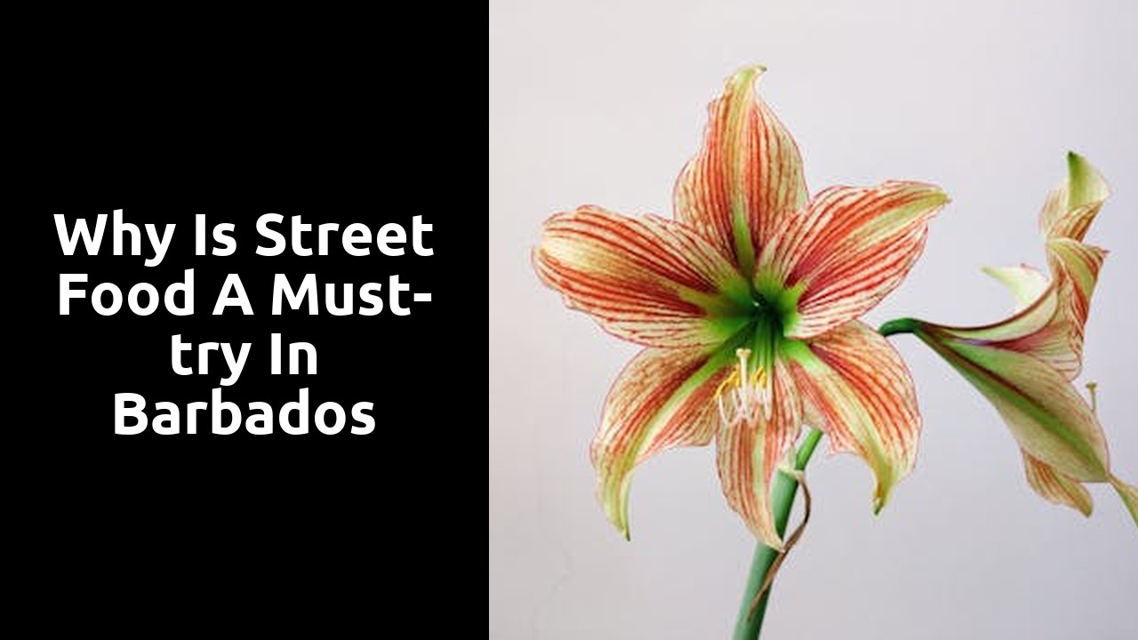 Why is street food a must-try in Barbados