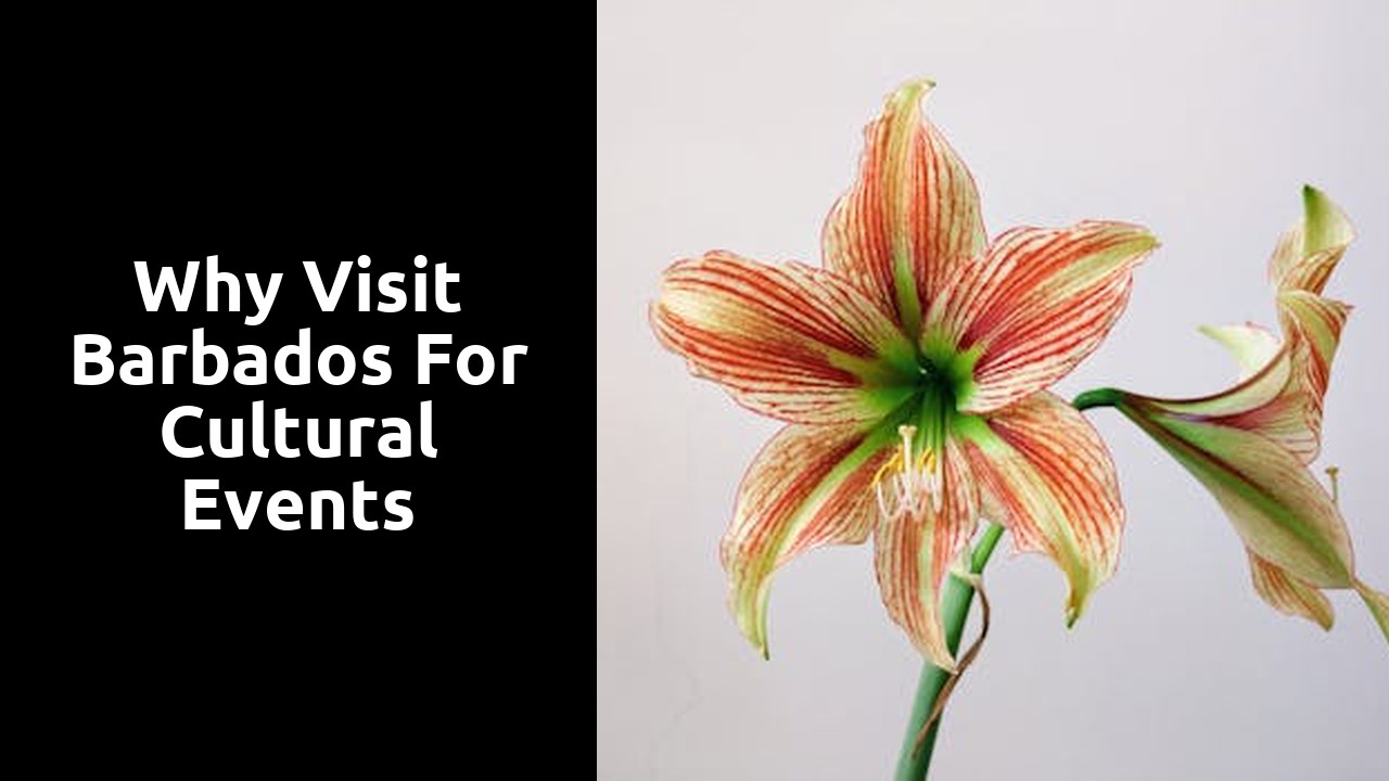 Why Visit Barbados for Cultural Events