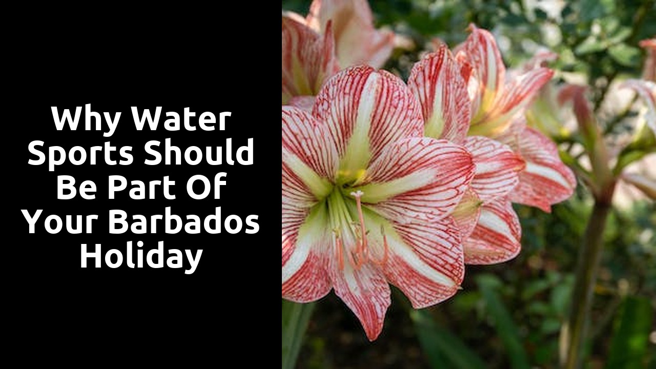Why Water Sports Should Be Part of Your Barbados Holiday