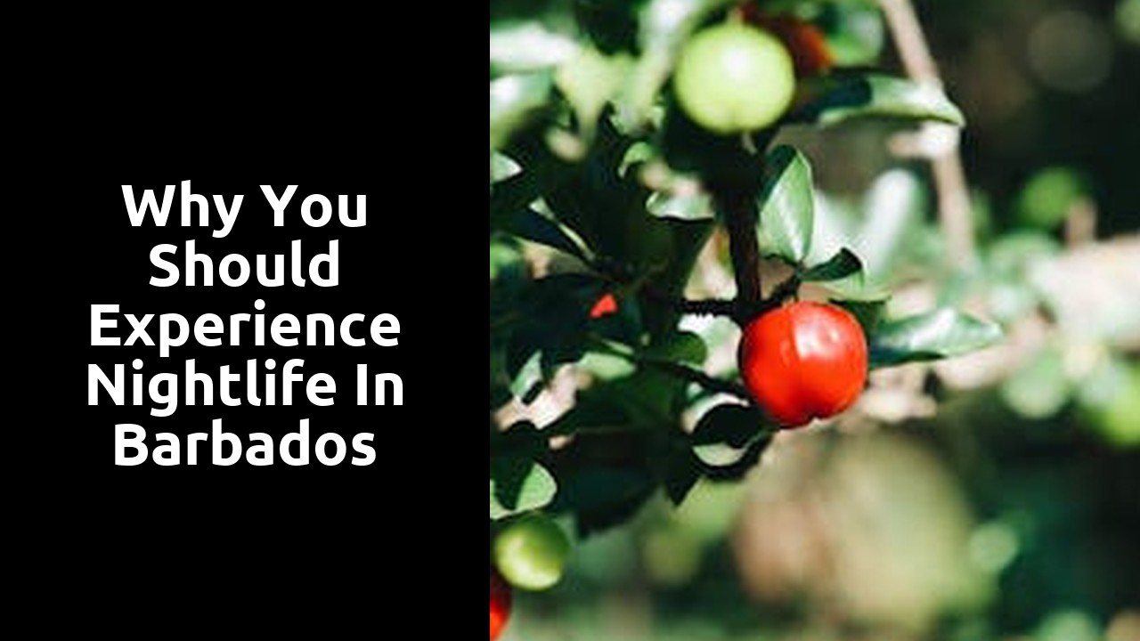 Why You Should Experience Nightlife in Barbados