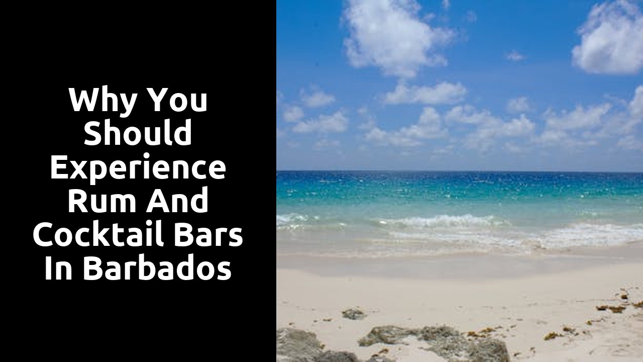 Why You Should Experience Rum and Cocktail Bars in Barbados